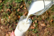 Fresh milk products delivered daily